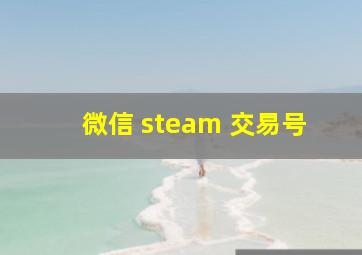 微信 steam 交易号